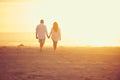 Side by side, hand in hand. Rearview shot of an affectionate mature couple walking hand in hand on the beach. Royalty Free Stock Photo