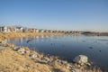 On the side of a lake with frozen water and floating geese and ducks