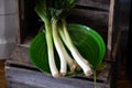 Side lit high angle display of leeks in green ceramic dish