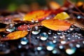 Side macro view of rainbow water drops on the ground, abstract background Royalty Free Stock Photo