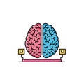 Side is pink and the right side is blue symbolizing the brain s Royalty Free Stock Photo