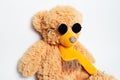 Side portrait of toy of teddy bear wearing round sunglasses on white background. Royalty Free Stock Photo