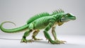 Side profile of green iguana walking with limbs extended, tail curved on white background Royalty Free Stock Photo