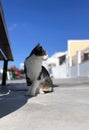 Side Profile View of a Beautiful Stoic Cat or Kitten or Kitty Standing on Walkway in Greece Royalty Free Stock Photo