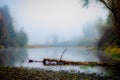 By the side of the river on a quiet misty autumn morning Royalty Free Stock Photo