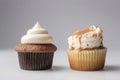 side-by-side comparison of classic and gourmet cupcakes, showcasing the differences in flavor and design