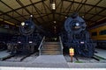 Side by side steam trains at the national railroad museum in Green Bay WI