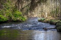 A side stream of River Don in Seaton park, Aberdeen Royalty Free Stock Photo