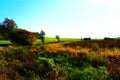 side of swampland caldera Strohner MÃÂ¤rchen with bright autumn colors at green grass Royalty Free Stock Photo