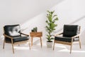 Side table and houseplants near leather armchairs