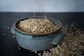 Side top view of handmade ceramic bowl of organic oats poured into bowl on dark moody background with concrete wall.