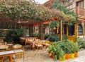 Side, Turkey, November 2019: Rustic outdoor cafe, with wooden tables and chairs, wrapped in wild grapes and next to the sea. No Royalty Free Stock Photo