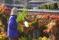 Side view of adult woman watering different types of colorful bromeliad plants in ornamental plant nurseries at home
