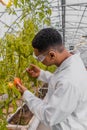 Side view of african american botanist