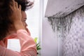 Woman Looking At Mold On Wall