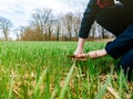 Agriculture woman biologist inspecting the harvest