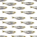 Anchovies Group Seamless Pattern