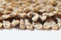 Side view of arranged small dried fish on white paper with copy space Royalty Free Stock Photo