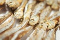 Side view of arranged small dried fish on white paper Royalty Free Stock Photo