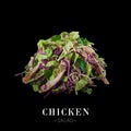 Asian grilled chicken salad isolated on black background ready food banner with text space