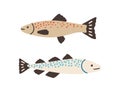 Side view of Atlantic spotted fishes. Baltic herrings isolated on white background. Colored flat vector illustration of