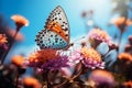 Side View of Beautiful Butterfly Insect Alight on a Spring Flower in Bright Sky