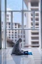 Beautiful Muslim woman reading the Quran Royalty Free Stock Photo