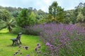 Side view of bench in garden