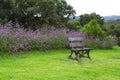 Side view of bench in garden