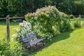 Side view of a bench with white climbing roses