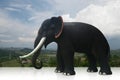 Side view black elephant on nature background
