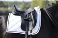 Side view of a black leather saddle on a horse`s back. Royalty Free Stock Photo