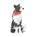 Side View of Border Collie Shepherd Pet Dog in Red Neckerchief Cartoon Vector Illustration Royalty Free Stock Photo