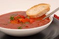 Side view of a bowl of tomato, red pepper and basil soup with br