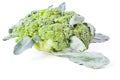 Side view of broccoli cabbage inflorescences of green color with leaves on a white isolated background in a photo studio. Fresh Royalty Free Stock Photo