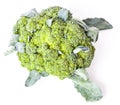 Side view of broccoli cabbage inflorescences of green color with leaves on a white isolated background in a photo studio. Fresh Royalty Free Stock Photo