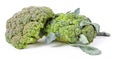 Side view of broccoli cabbage inflorescences of green color with leaves on a white isolated background in a photo studio. Fresh Royalty Free Stock Photo