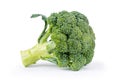 Side view of broccoli on a white background Royalty Free Stock Photo