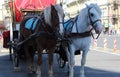 Side View of a Carriage Pulled by Horses for tourists Royalty Free Stock Photo