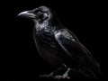Ai Generated illustration Wildlife Concept of Side view of a Carrion Crow looking up Corvus corone isolated Royalty Free Stock Photo