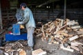 Man with work gloves safety ear protectors uses hydraulic log splitter Royalty Free Stock Photo