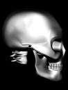 Side view of chrome skull Royalty Free Stock Photo