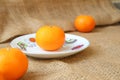Side view of citrus fruits on a plate. Wogan Orange. with copy space Royalty Free Stock Photo
