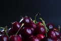 Side view and close up on fresh, wet, dark cherries. Royalty Free Stock Photo