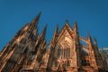 Cologne, Germany - Side View of the Cologne Cathedral UNESCO World Heritage, Bathing in the Last Rays of the Golden Hour