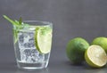 Colorful image of glass of lemonade or gin tonic with lemon or lime. Copy space fort text