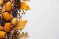 Side view of corn, pine cones and yellow leaves on a white background. Thanksgiving card