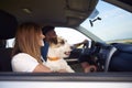 Side view of young couple and dog traveling by car Royalty Free Stock Photo