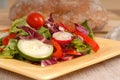 A side view of a crisp healthy salad on a yellow plate with rust Royalty Free Stock Photo