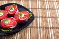 Side view of the cut slices of red tomatoes, decorated with onion and dill Royalty Free Stock Photo